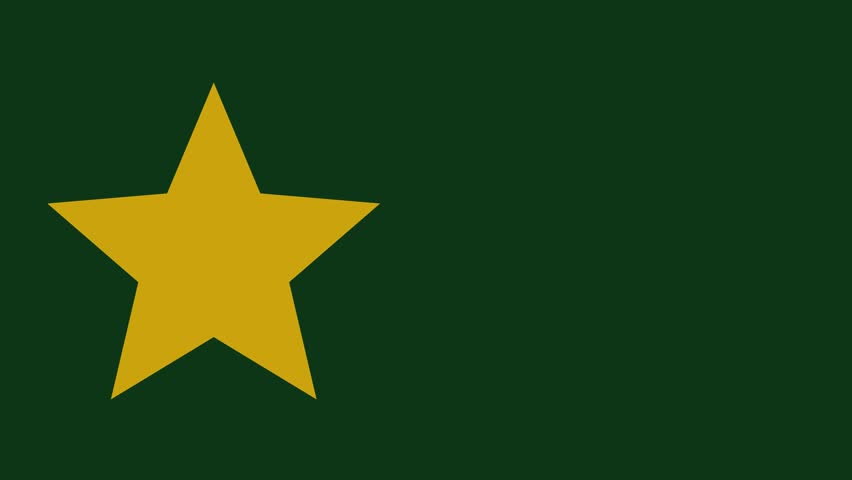 Gold 5 stars rating video animation. Five star feedback motion graphics. glowing four stars icon client feedback interaction, business success Loop HD video with alpha channel, transparent background.