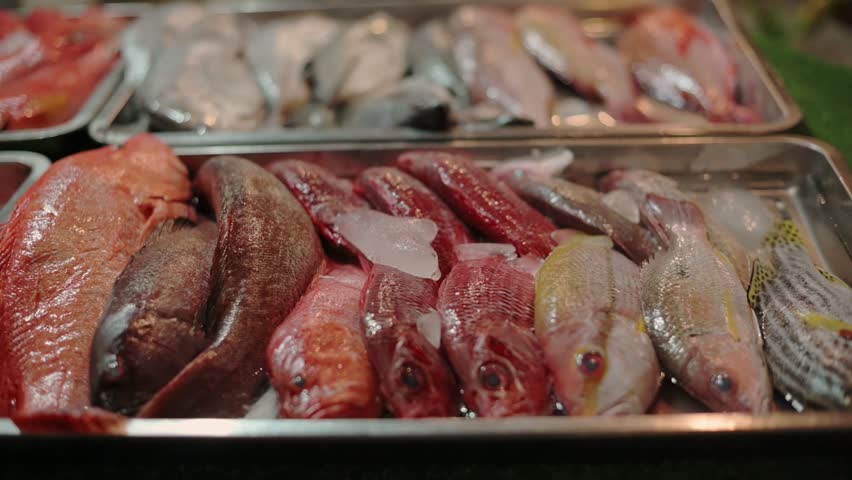 Colorful reef fish with ice displayed on metal trays at seafood market in El Nido, Philippines. Assorted fish on ice including red, silver and yellow varieties in El Nido seafood stall