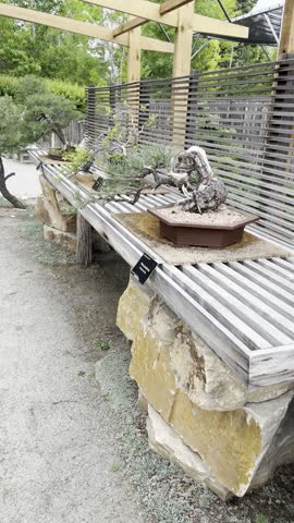 Denver Botanic Gardens, Denver, Colorado, botanical garden, botanic garden, public garden, garden path, greenhouse, conservatory, flowers, blooming flowers, summer flowers, fall colors, native plants