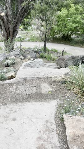 Denver Botanic Gardens, Denver, Colorado, botanical garden, botanic garden, public garden, garden path, greenhouse, conservatory, flowers, blooming flowers, summer flowers, fall colors, native plants