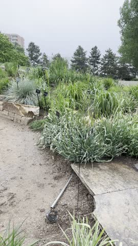 Denver Botanic Gardens, Denver, Colorado, botanical garden, botanic garden, public garden, garden path, greenhouse, conservatory, flowers, blooming flowers, summer flowers, fall colors, native plants