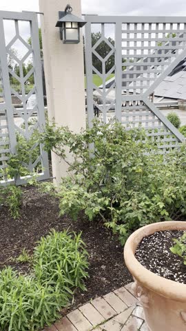 Denver Botanic Gardens, Denver, Colorado, botanical garden, botanic garden, public garden, garden path, greenhouse, conservatory, flowers, blooming flowers, summer flowers, fall colors, native plants