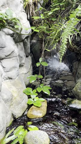 Denver Botanic Gardens, Denver, Colorado, botanical garden, botanic garden, public garden, garden path, greenhouse, conservatory, flowers, blooming flowers, summer flowers, fall colors, native plants