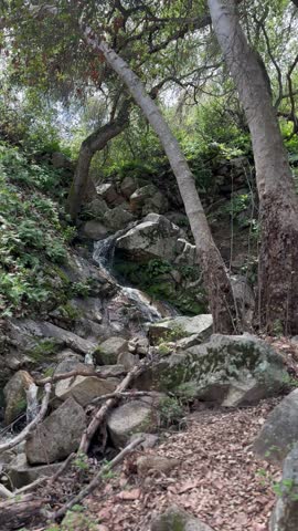 Water Falling down Rocks in the Woods
