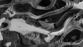 A surreal 3D texture of densely packed particle spheres forming abstract foam-like structures. The image resembles organic formations, generated with intricate digital design in black and white tones - Powered by Shutterstock - Get 15% off with code: PIKWIZARD15