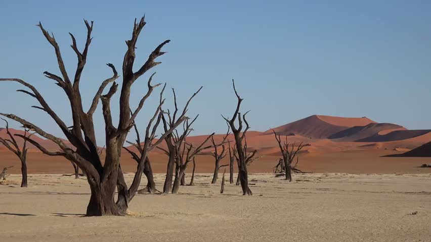 Amazing landscape of Deadvlei Namibia namib desert