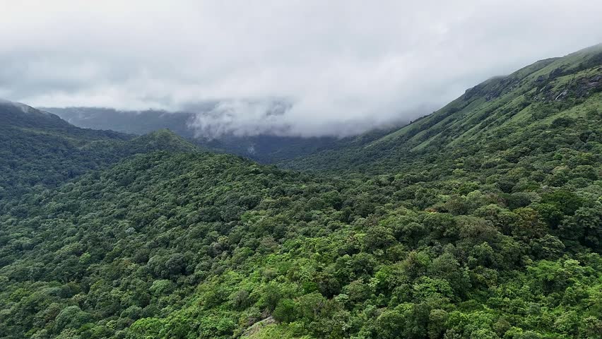 An epic drone view of lush green forest and mountains beneath a misty, cloudy sky in winter at western ghats of karnatak India.wildlife concept.lush forest or jungle concept