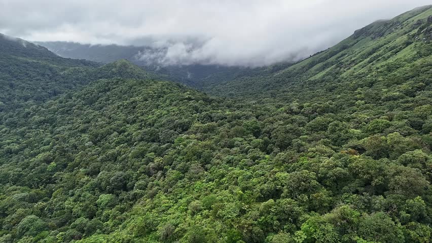An epic drone view of lush green forest and mountains beneath a misty, cloudy sky in winter at western ghats of karnatak India.wildlife concept.lush forest or jungle concept