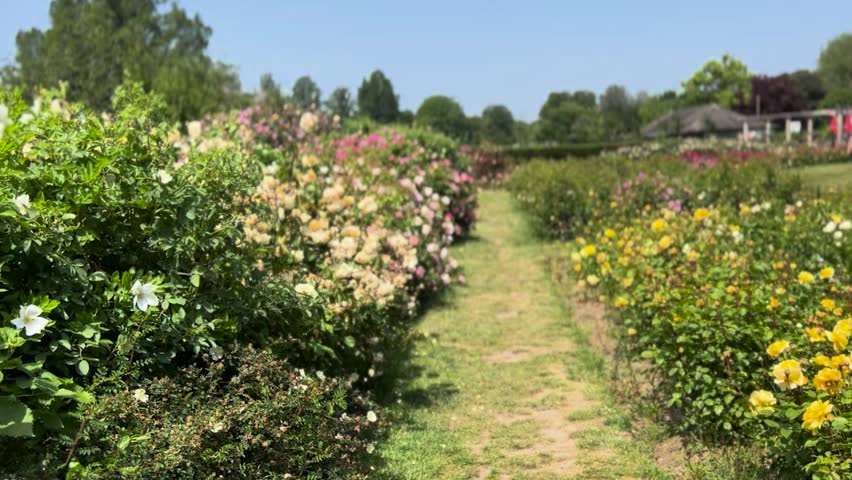 Botanic Flower Garden Walking Path