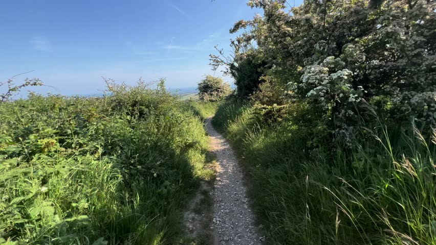 Trekking Trail Pathway Blue Sky