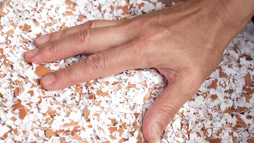 Close-up of a hand holding crushed eggshells, with more eggshell fragments scattered in the background. Organic waste as a natural fertilizer or soil amendment for gardening