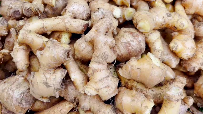 Top view of a pile of freshly harvested ginger roots. Raw and unwashed ginger with natural earthy texture, commonly used in cooking, herbal remedies, and traditional medicine