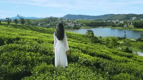 A cinematic drone shot glides over a tranquil tea plantation as a woman in white stands still, gazing at Lake Gregory. A perfect visual for travel, fashion, and lifestyle branding. - Powered by Shutterstock - Get 15% off with code: PIKWIZARD15