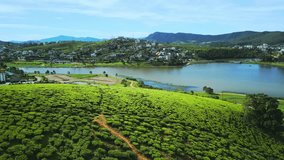 Smooth aerial pan across bright green tea hills in Nuwara Eliya, ending with a wide view of Lake Gregory and surrounding town. Ideal for travel, nature, and eco-tourism visuals. - Powered by Shutterstock - Get 15% off with code: PIKWIZARD15
