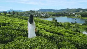 An Asian woman in a white dress stands peacefully in lush tea fields as the drone moves across the scenic Lake Gregory landscape. Conceptual, cinematic, and ideal for travel promos. - Powered by Shutterstock - Get 15% off with code: PIKWIZARD15