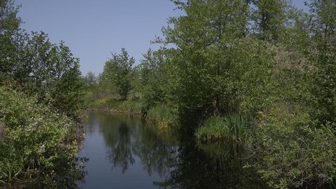Marshes of Ukraine