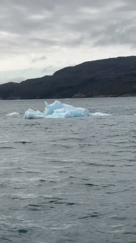 Icebergs float in the chilly waters of Greenland, with distant mountains visible against a cloudy sky, creating a tranquil and remote atmosphere, tc01