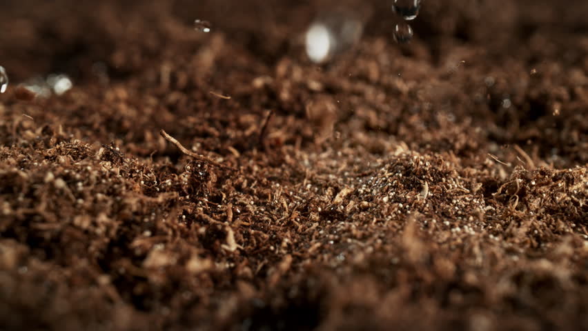 Super Slow Motion Detail Shot of Wated Drops Falling and Splashing on Soil Substrate at 1000fps.