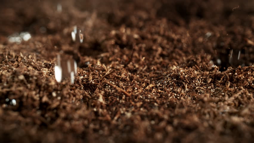 Super Slow Motion Detail Shot of Wated Drops Falling and Splashing on Soil Substrate at 1000fps.