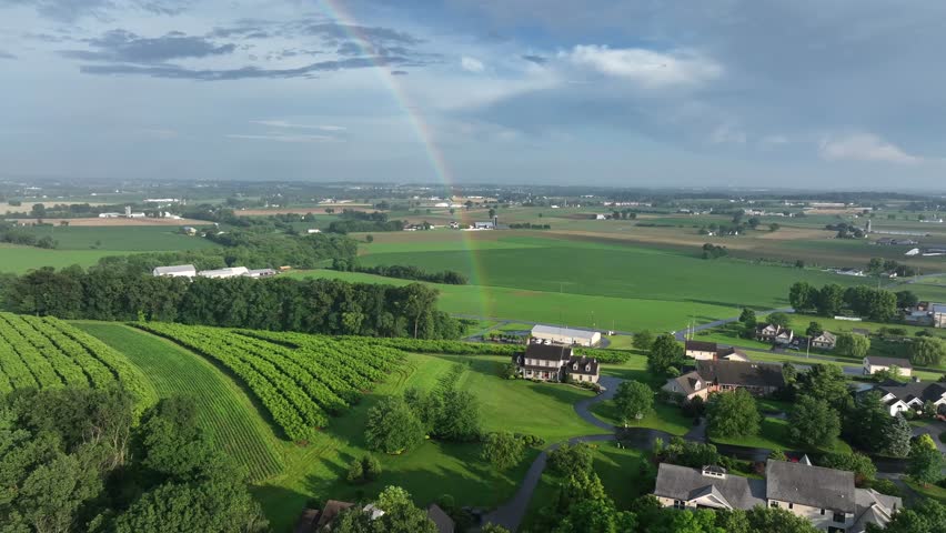 Beautiful rainbow over farm fields and rural neighborhood in America. Aerial wide shot. Cultivated fields and vineyards on hillside in United States.