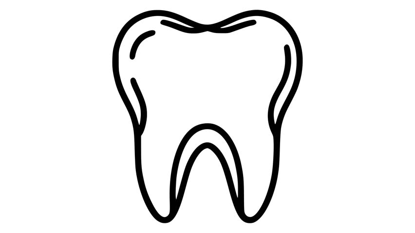 Teeth icon line art vector animation