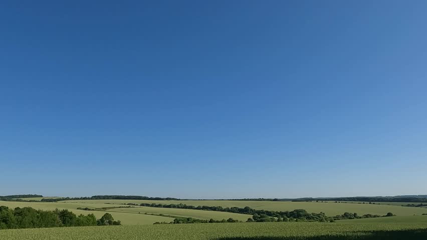 green field and blue sky. Landscapes of Ukraine. Green wheat field. Green hills against the sky