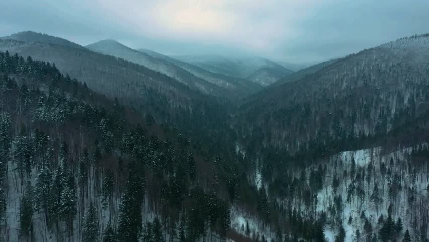 winter forest drone, snowy tree path, cold hillside view, peaceful white scene, 4k snowy aerial, cinematic frost trees, tranquil snow view, winter wonderland drone, frozen hill trail, icy forest 