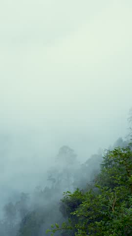 Fog drifting over the forest in Madhyamaheshwar, Uttarakhand, India.