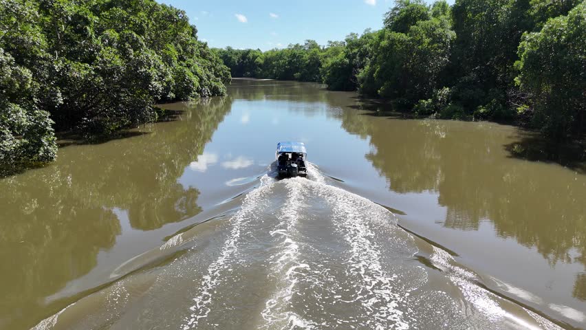 Parnaiba Delta At Parnaiba In Piaui Brazil. Winding River. Nature Scenery. Parnaiba Delta At Piaui. Brazilian Delta Of The Americas. Beach Landscape. Vacations Travel. Brazil Northeastern.