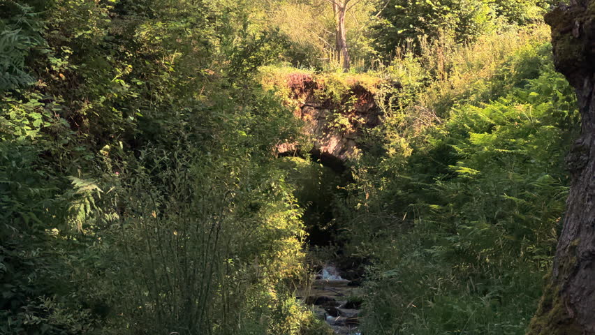 Idyllic landscape of an Ancient bridge over a stream in Pradoluengo, Burgos Spain., Spain. Nature landscape, rural tourism. High quality 4k footage