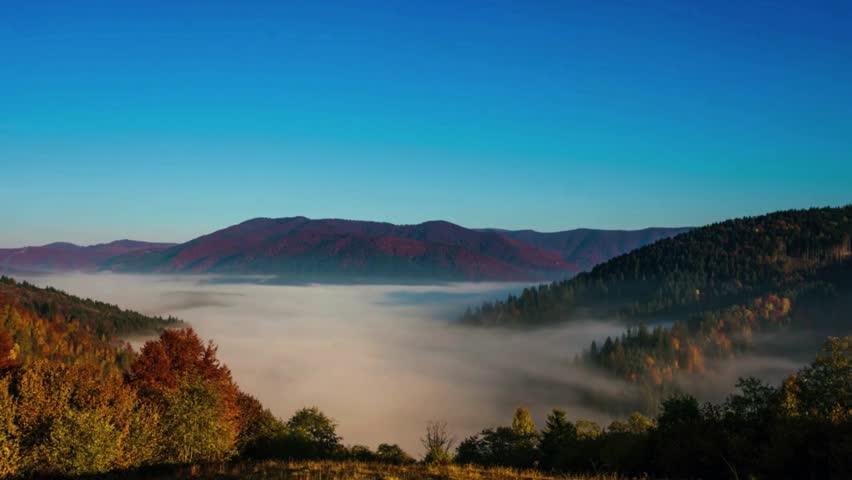 foggy hill sunrise, autumn forest view, misty morning drone, golden hour fog, scenic fall forest, tranquil morning shot, peaceful hillside mist, 4k autumn fog, cinematic sunrise valley, rolling hills  - Powered by Shutterstock - Get 15% off with code: PIKWIZARD15