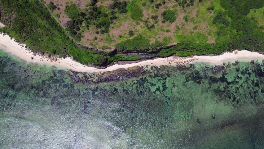 Top-down drone shot panning left across rocky beach, coral reefs and tropical vegetation