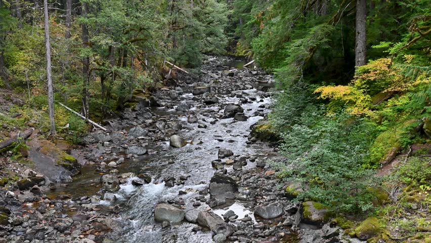 View of river rock bed with water flowing through it, Washington, Pacific Northwest