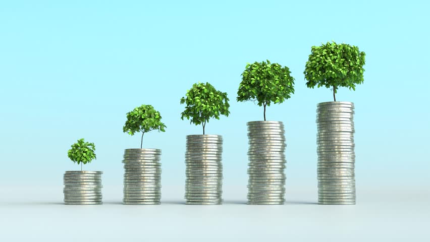 Financial growth with trees growing on coin stacks, Money growth and eco investment concept.