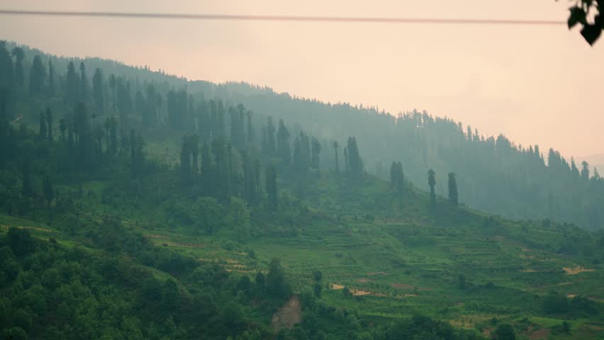 4K Handheld shot of trees on the top of the Himalayas as seen during the sunset from Solang Valley in Manali, Himachal Pradesh, India during the winter season. Natural background with copy space.