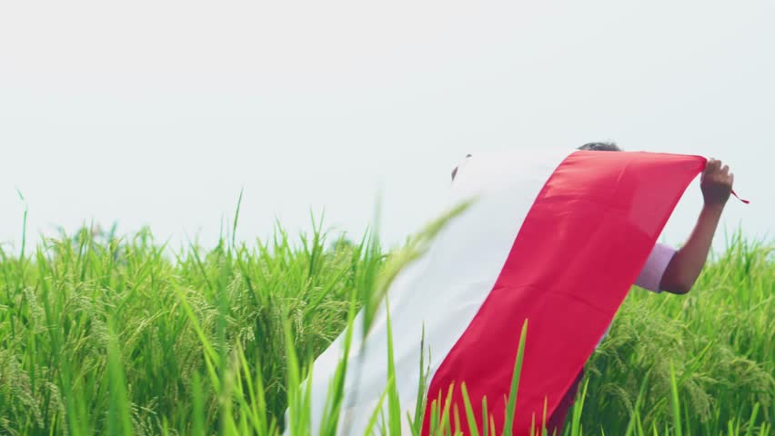 Back View Of Young Indonesian Boy In School Uniform Running While Carrying The Indonesian Flag In Rice Field Area