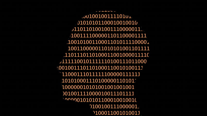 Shutterstock Video