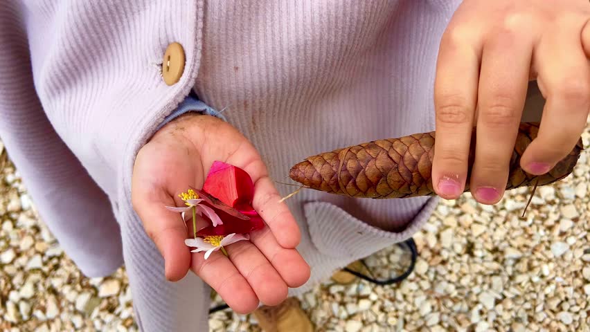A little girl holds in her hands a beautiful pine cone with small white flowers and red petals. She found these interesting things for her on the mountainside.
