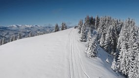 Aerial drone footage tourists riding snowmobiles and taking pictures in a snowy mountain forest, enjoying a breathtaking winter landscape on a sunny day. Bukovel ski resort. Winter travel background - Powered by Shutterstock - Get 15% off with code: PIKWIZARD15