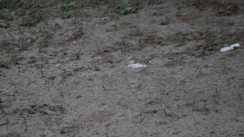 Monsoon Beginnings- Rain touching the Earth. Raindrops hitting dry soil, Bubbles and ripples forming in muddy and cemented surface. 