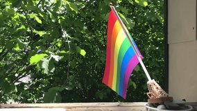 Rainbow flag is hanging from a tree. The flag is colorful and has a rainbow pattern. The flag is in the middle of a green tree - Powered by Shutterstock - Get 15% off with code: PIKWIZARD15