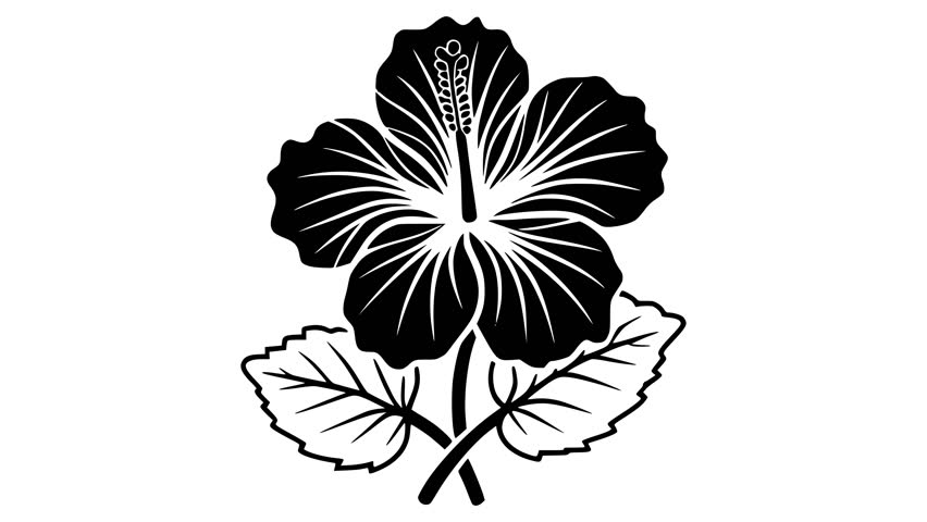 Hibiscus icon line art vector animation