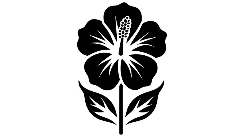 Hibiscus icon line art vector animation