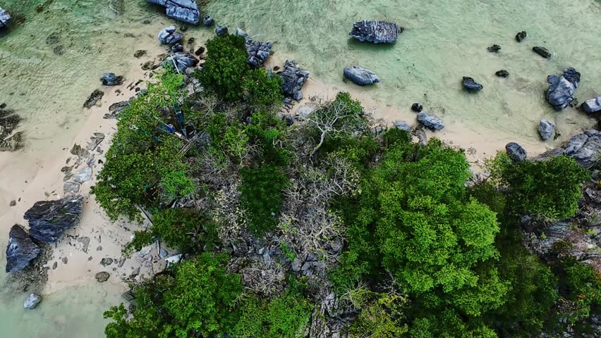 Tropical mangroves and coastal rocks in El Nido, Palawan viewed from above