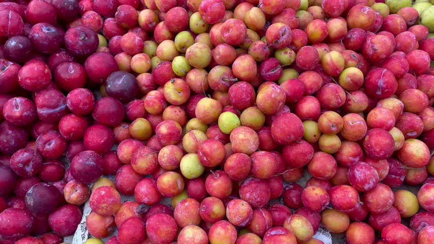 Fresh Juicy Red Plums in Bulk – Organic Fruit Harvest Close-Up	