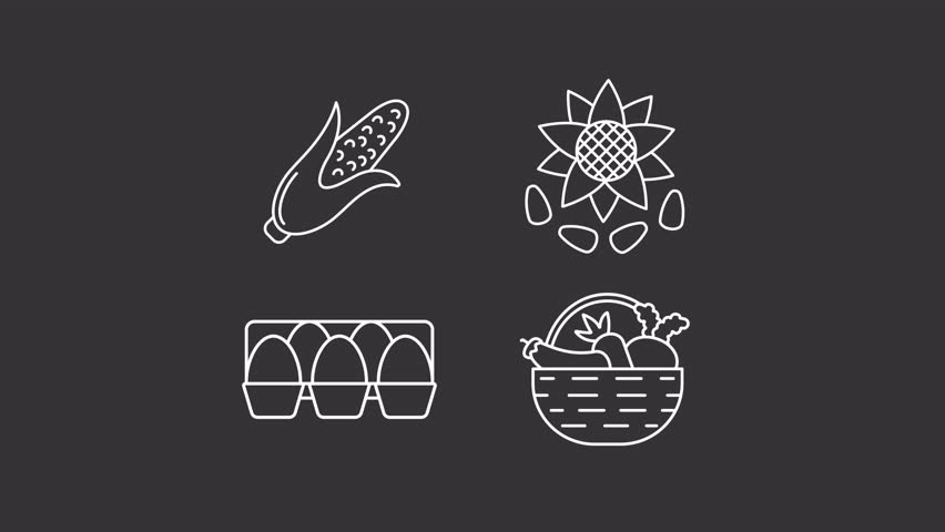Animated agriculture products white line icons. Corn, sunflower, eggs and vegetables animation set. Farmer market assortment. Isolated elements on dark background. Alpha channel HD video