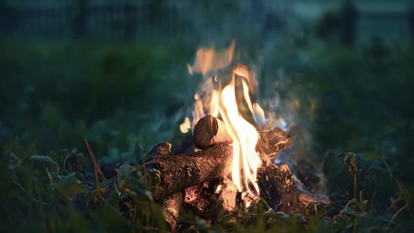 marshmallows roasting over crackling campfire at dusk with soft flames and rising smoke creating a warm, inviting and classic outdoor camping scene. evening camp campfire stories Roasting marshmallows