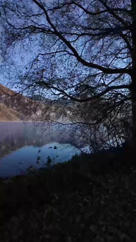 Around lake Walensee in Switzerland bike ride POV tree line lakeside alpine outdoor