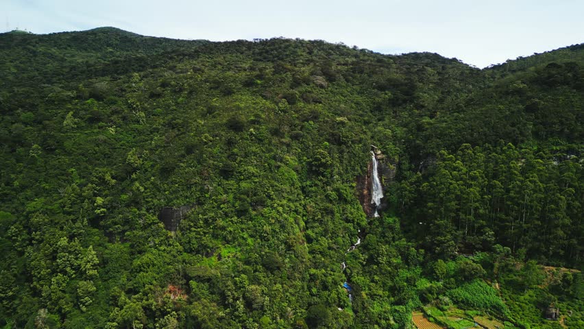 Smooth pan reveals Lovers Leap Waterfall and Sri Lanka s green forested hills. Ideal for travel promo, nature documentaries, eco-tourism footage and tropical landscape features.