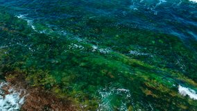 Waves rippling above vibrant green seaweed covered rocks. Water gliding over colorful algae strewn seabed. Ocean shimmering across submerged stones coated in marine growth - Powered by Shutterstock - Get 15% off with code: PIKWIZARD15